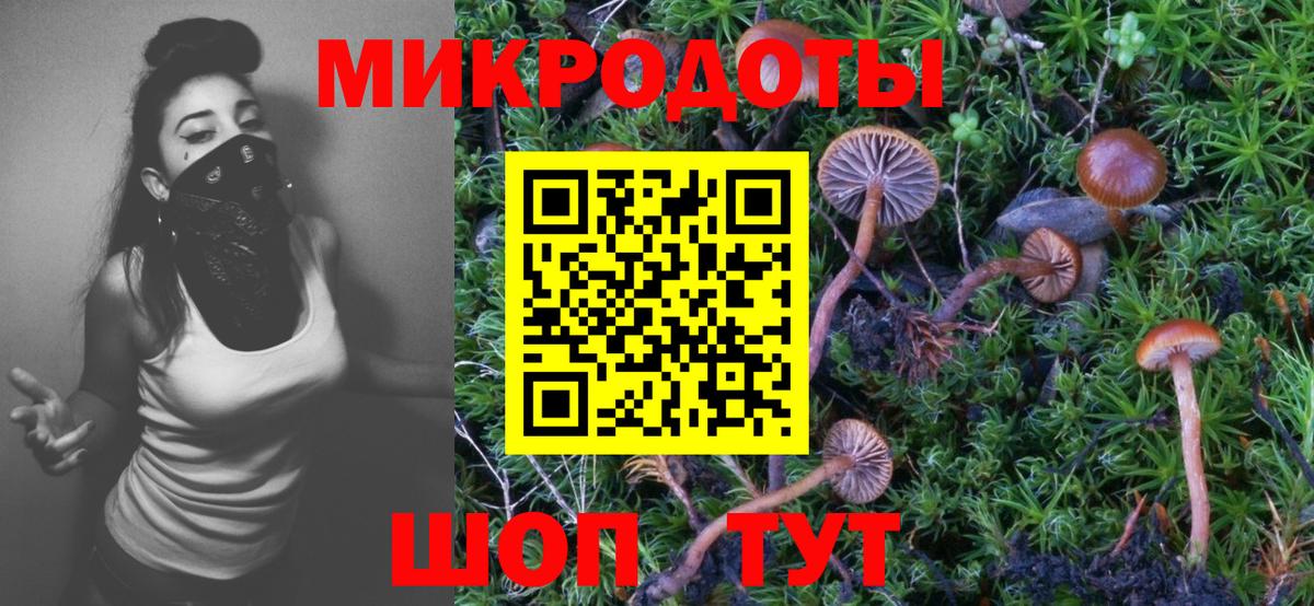 Галлюциногенные грибы MAGIC MUSHROOMS Губкин